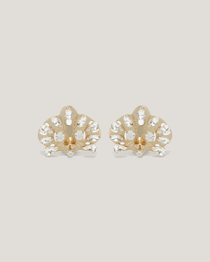 Star Orchid earrings