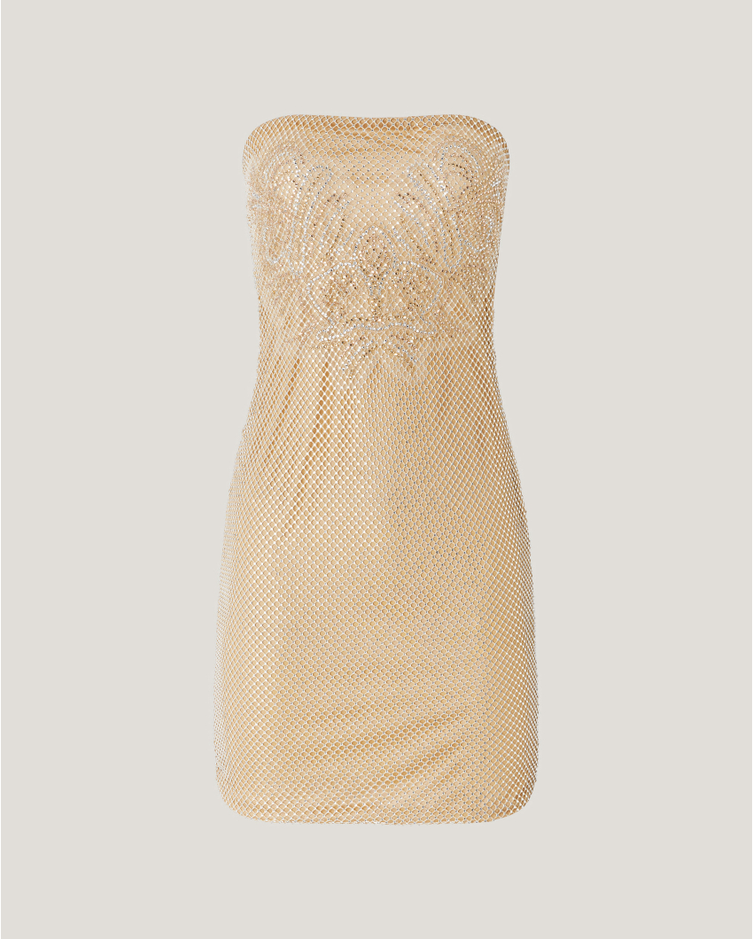 Rhinestone mesh dress with Orchids embroidery
