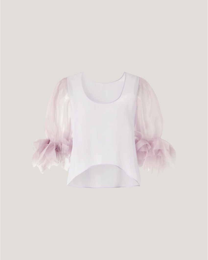 Top with embroidered puff sleeves