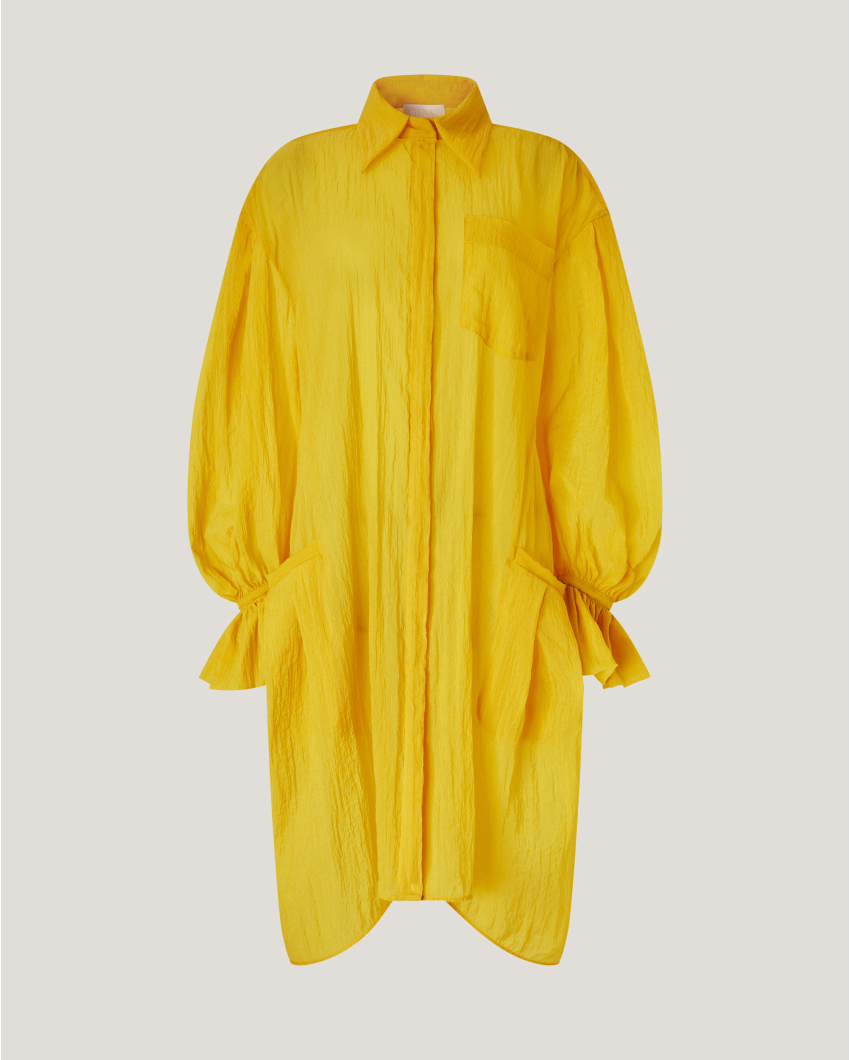 Voluminous Sleeve Shirt Dress
